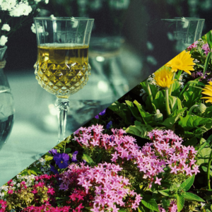 2025 Weekend Bundle (Event + Garden Tour)
